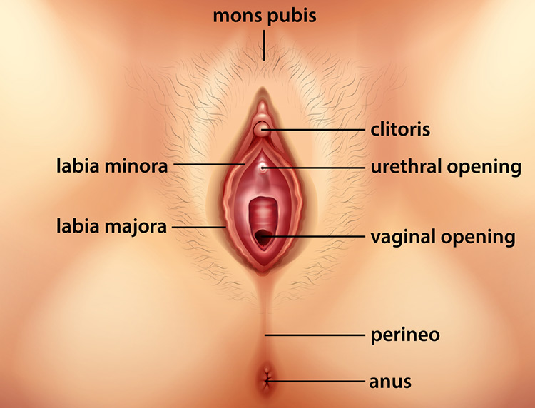 How To Play With The Clit